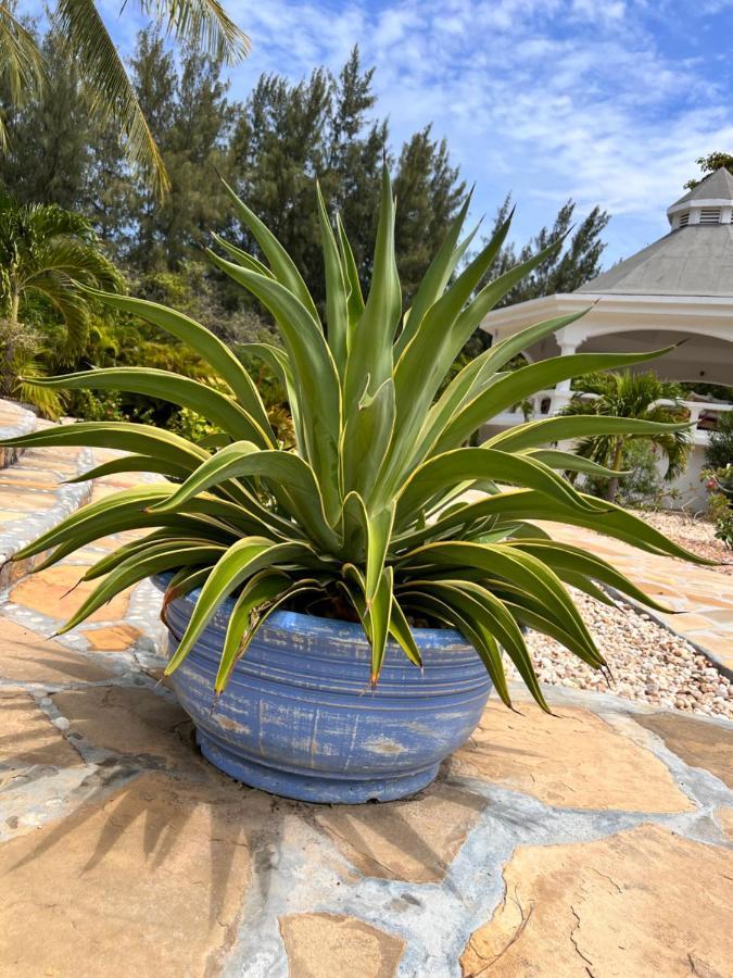 Zumzum Beach House Bed & Breakfast Kinondo Exterior foto